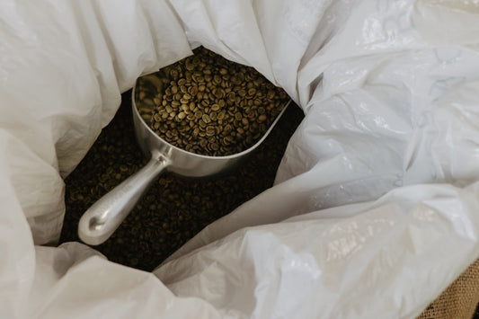 The Art of Coffee: Exploring Different Roasting Profiles - TI.CO