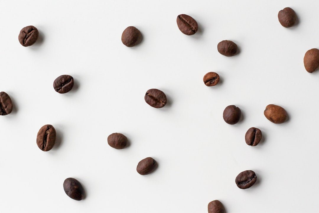 A Beginner's Guide to Different Coffee Beans - TI.CO