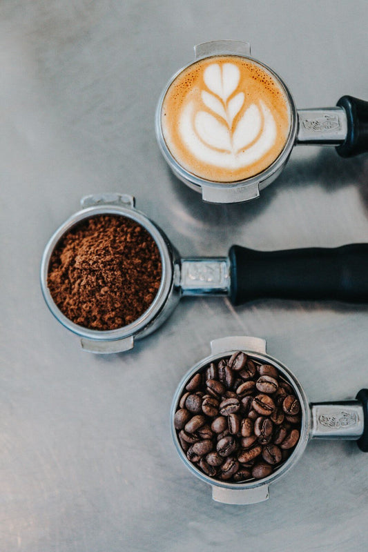 Coffee and Gut Health: Separating Fact from Fiction - TI.CO