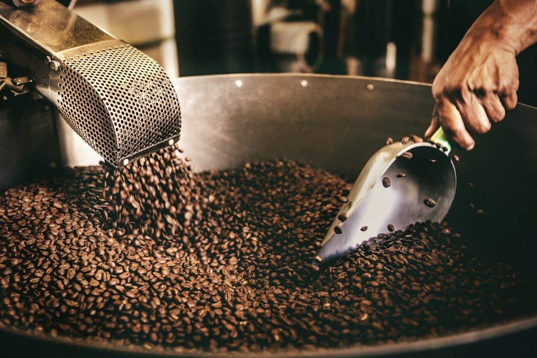 Discovering the Exotic: A Journey through Exotic Coffee Flavors - TI.CO