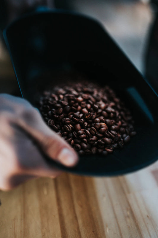 The Journey of Coffee: From Bean to Brew