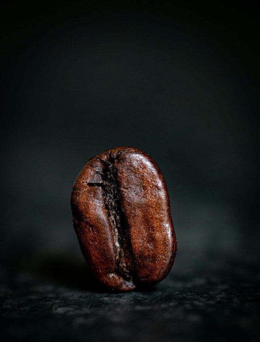 Sustainability in Coffee Production: Making a Difference - TI.CO