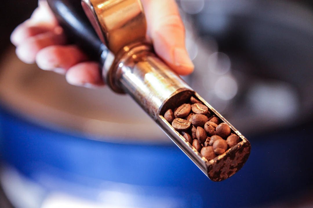 The Art and Science of Coffee Roasting: Unlocking the Secrets of Fresh Roast Coffee - TI.CO