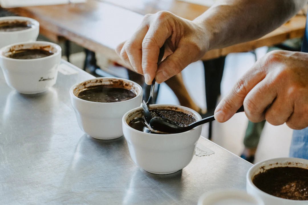 The Art of Coffee Tasting: How to Become a Cupping Expert - TI.CO