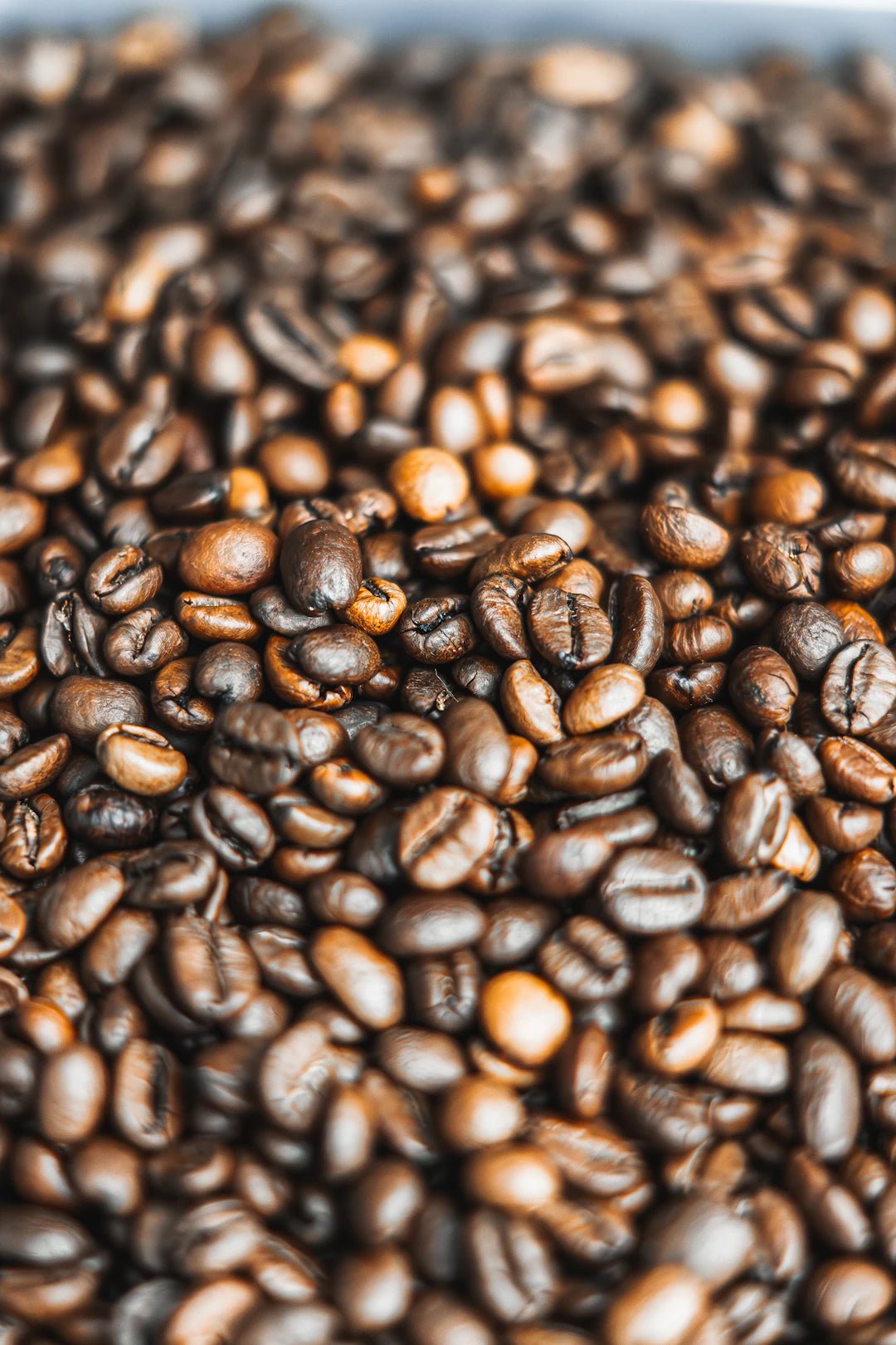 The Fascinating Journey of Coffee: From Bean to Brew - TI.CO