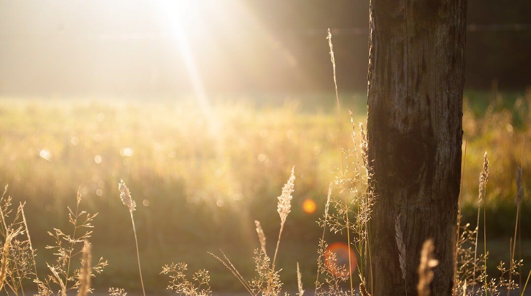 The Morning Brew: The Role of Coffee in Morning Rituals and Routines - TI.CO