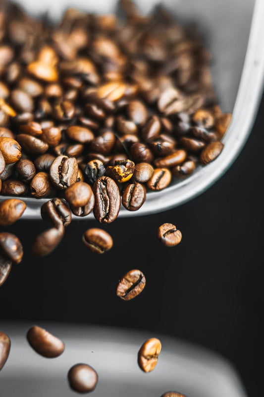 Unlocking the World of Coffee: Understanding Different Coffee Bean Varieties - TI.CO