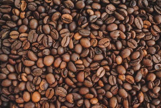 Unveiling the Journey of Coffee: From Bean to Cup - KXX